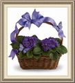 Flowers From The Heart, 513 W Midland Rd, Auburn, MI 48611, (989)_662-7818